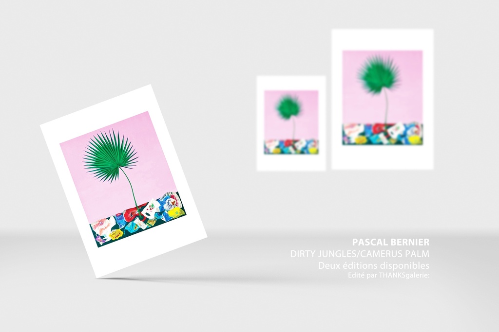 DIRTY JUNGLES/CAMERUS PALM (édition A4 numérotée et signée)