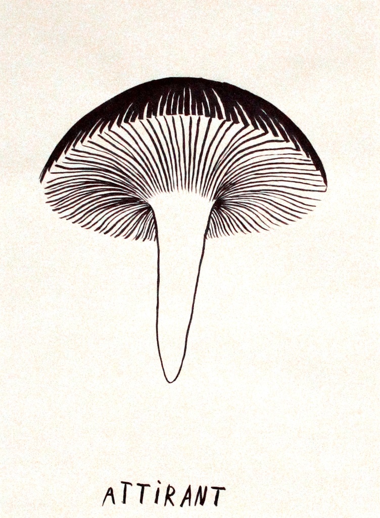 Attirant