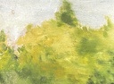Sans titre #13