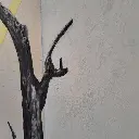 Unknown-37.webp