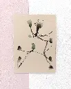 20250530_120933.webp