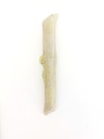 Bones & wood