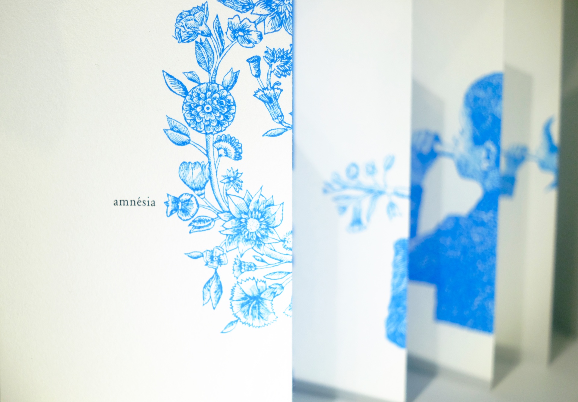 Amnésia (collection "Amnésia)