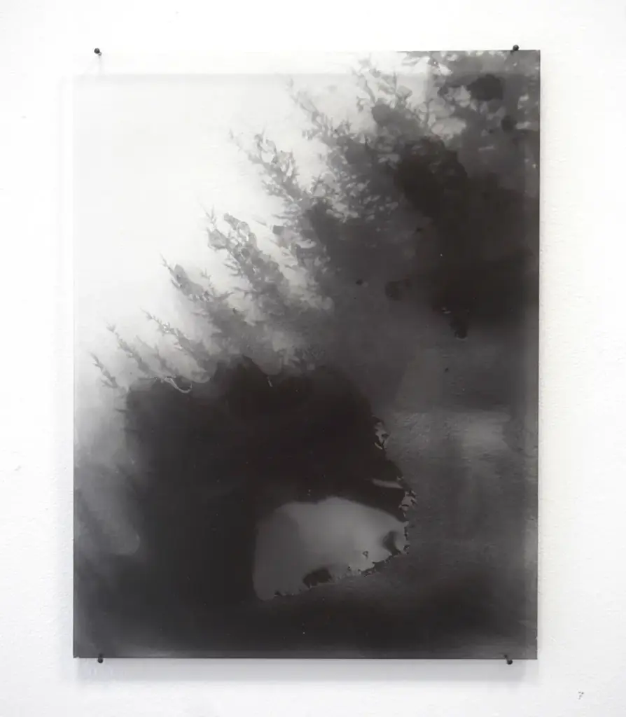 Fragments 02