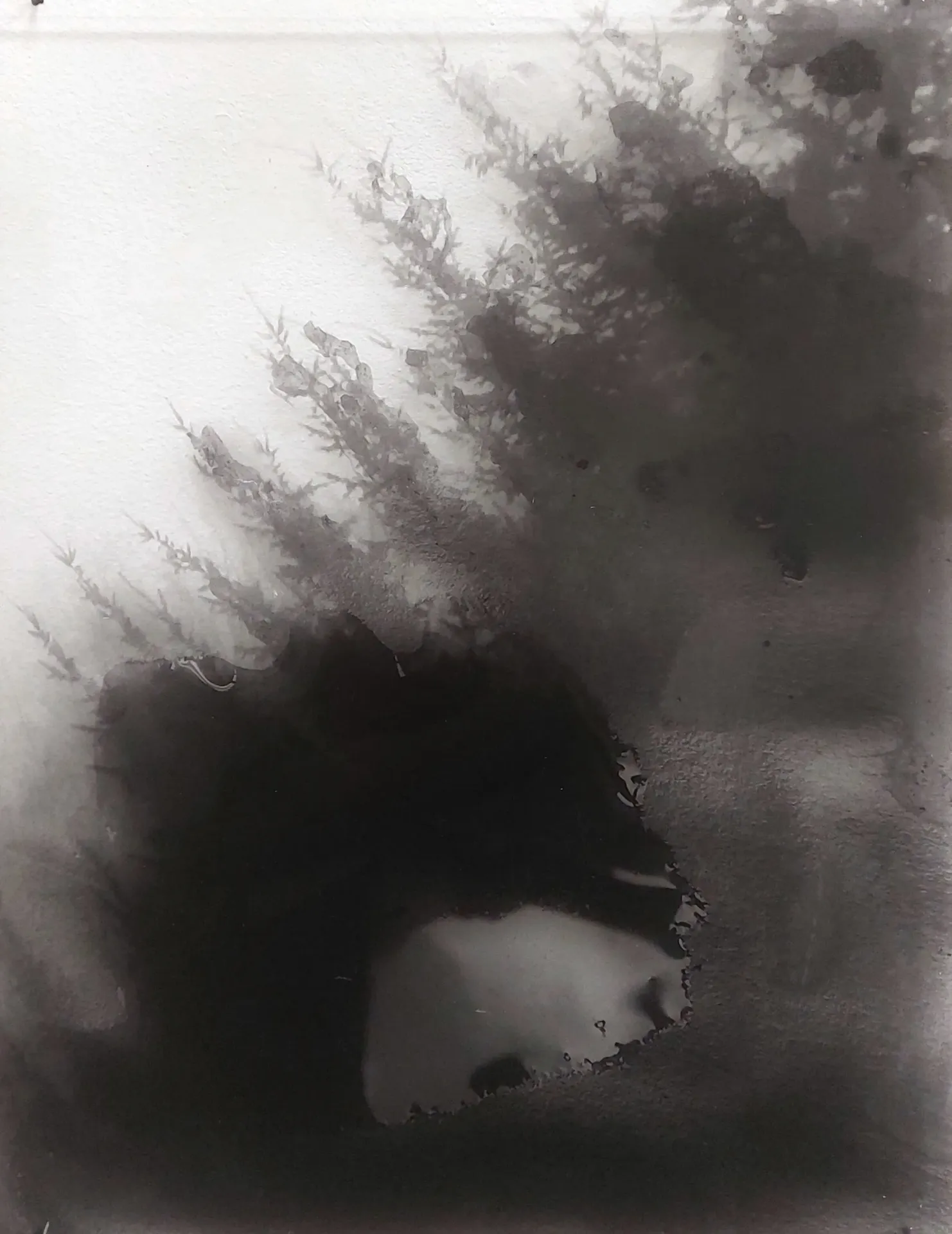 Fragments