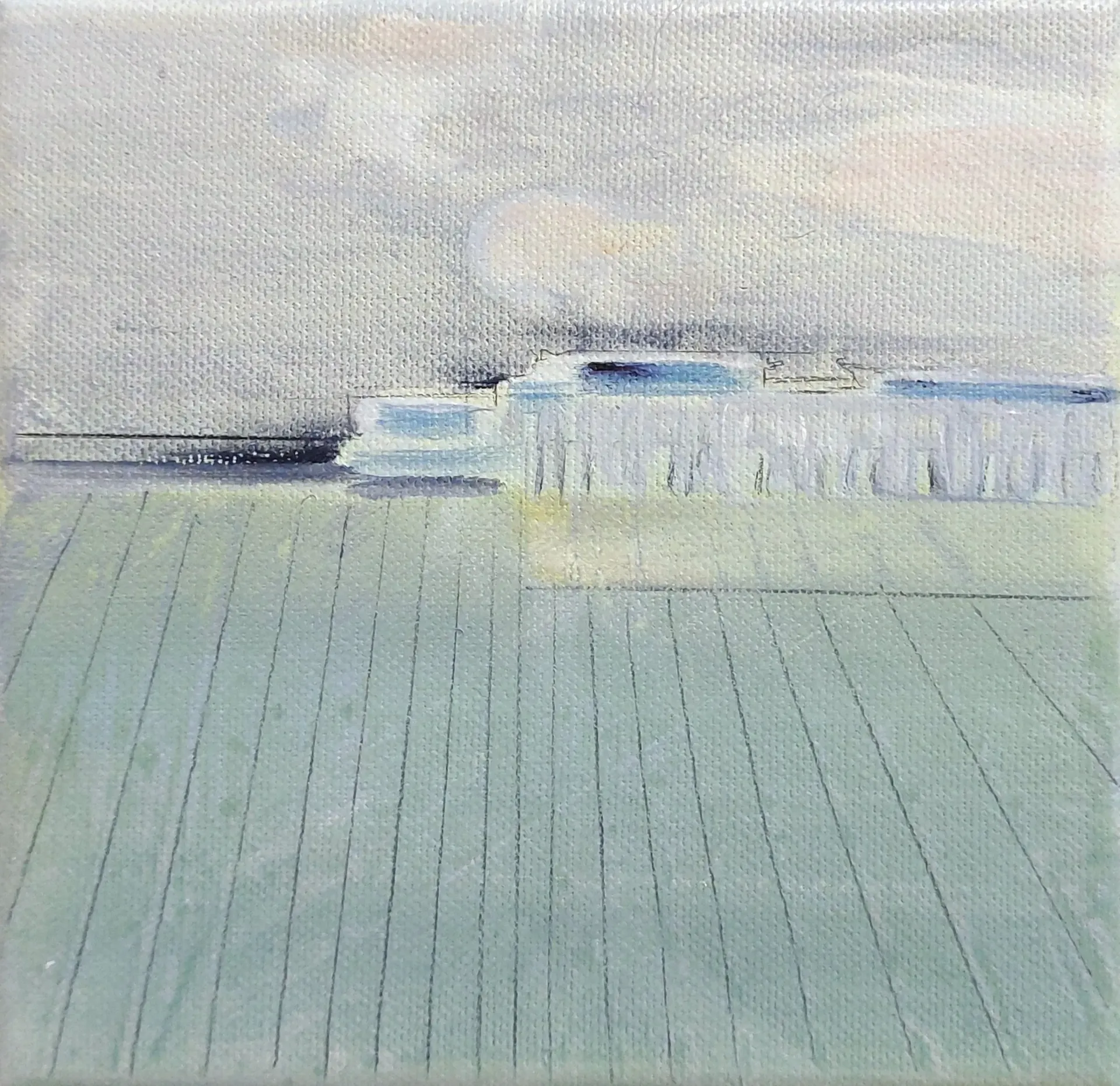 Vernale 243