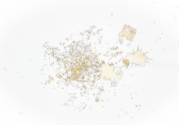 Edition Vivian Barigand