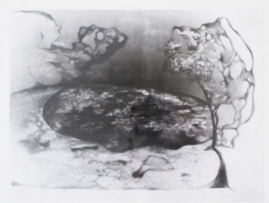 [CL.DU.0016] Près de la rivière