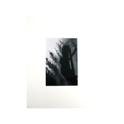 Black forest