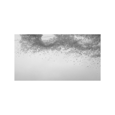 Nuages