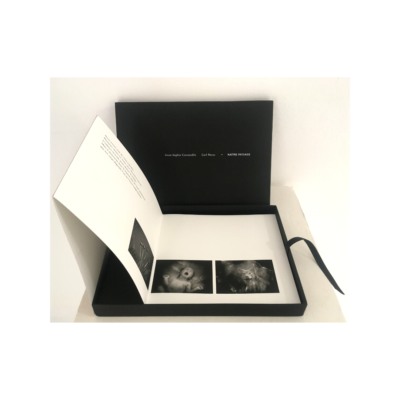 [BRRO.00041] Naître paysage