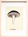 Attirant