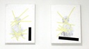 Diptyque sans titre car ce n’est pas utile.