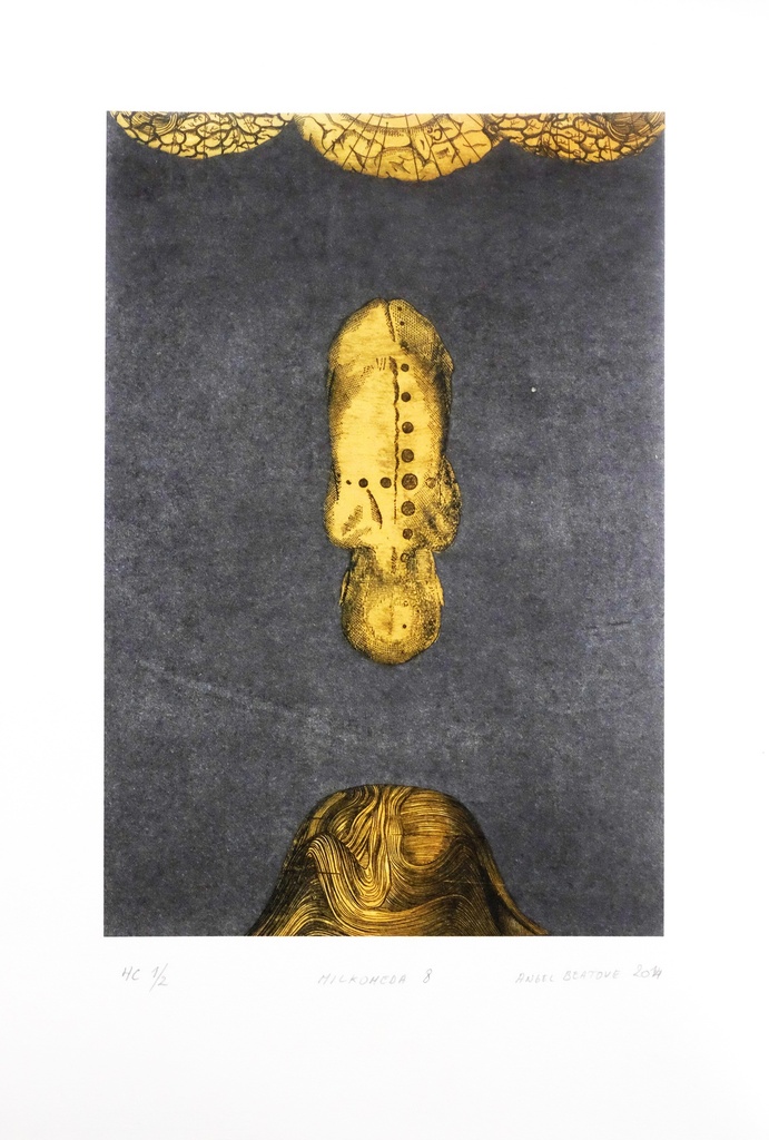 [BRRO.00040] Milkomeda 8