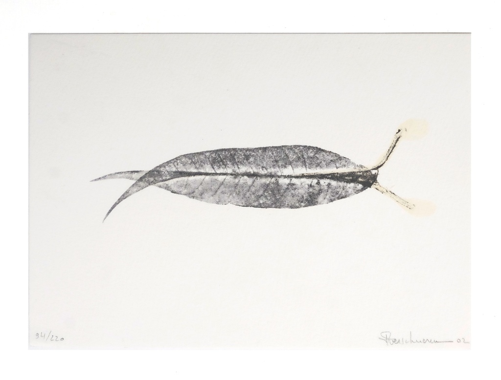 [BRRO.00073] Sans titre