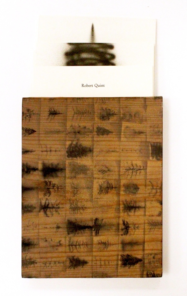 [BRRO.00023] Evergreen