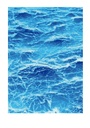 Edition Fine Art - Samuel Coisne