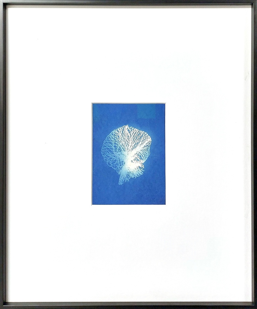 L'heure bleue