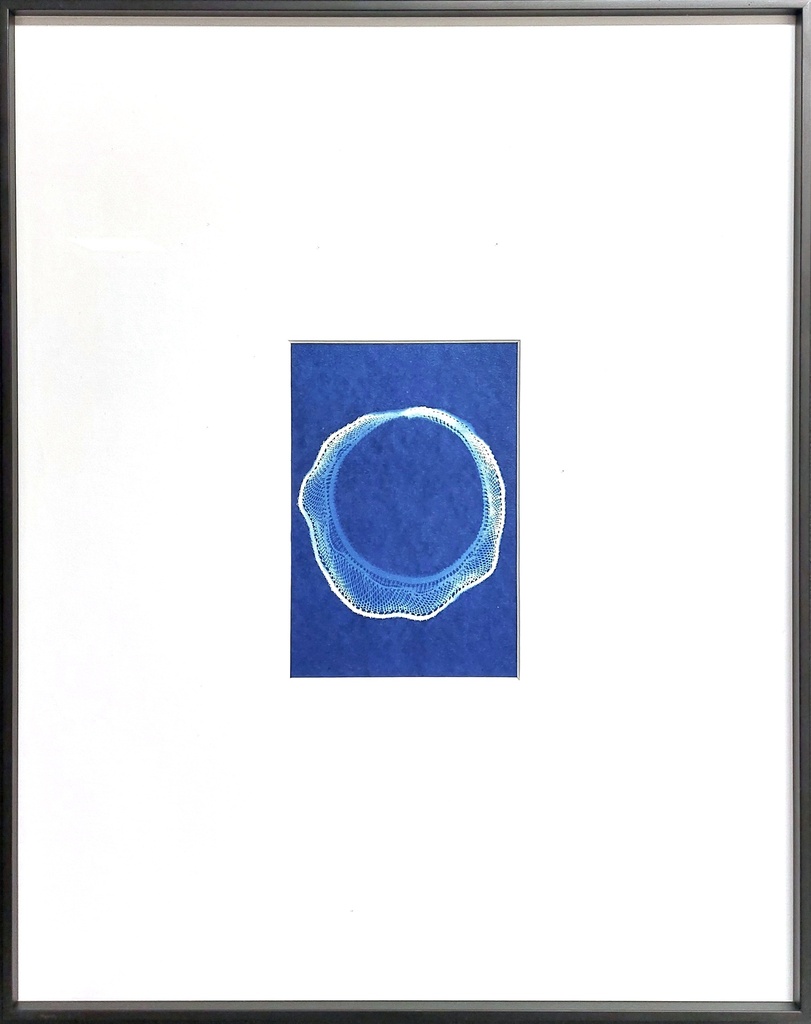 L'heure bleue