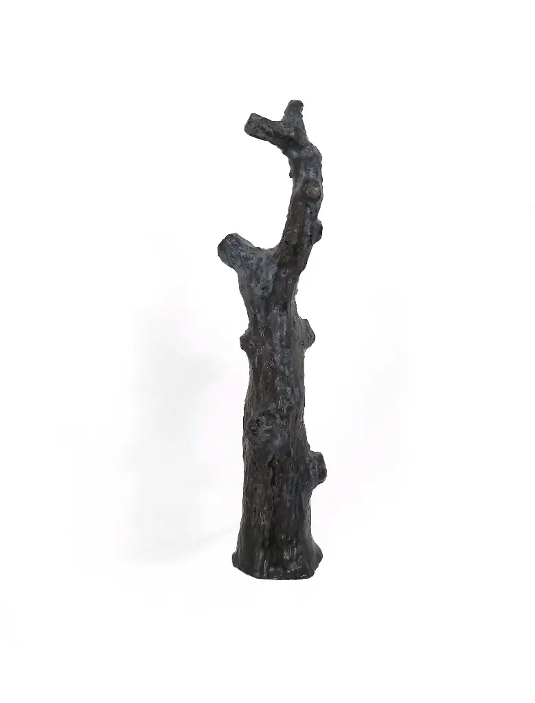 Tar Tree