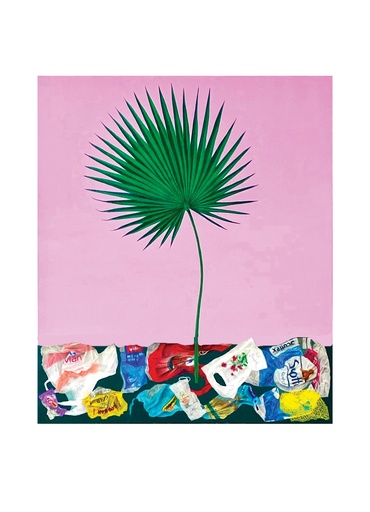 DIRTY JUNGLES/CAMERUS PALM (Edition FINE ART: numérotée et signée)