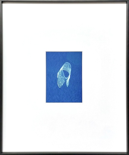 L'heure bleue